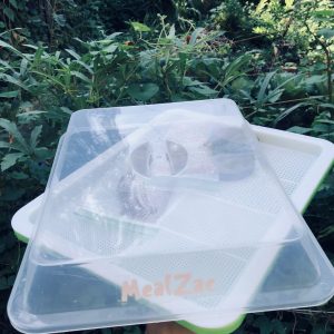MealZac Microgreenz Growing Soulition Kit